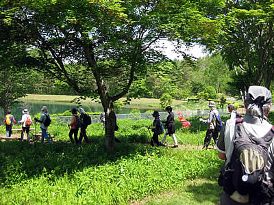 6月1日定例ウォーキング