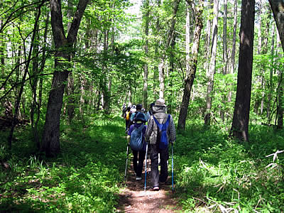 6月1日定例ウォーキング