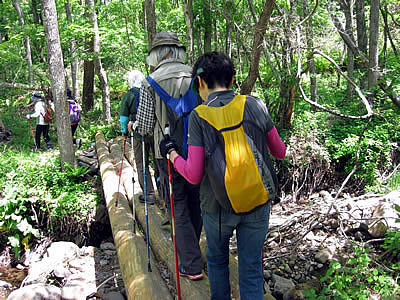 6月1日定例ウォーキング