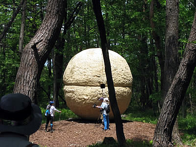 6月1日定例ウォーキング