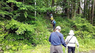 7月6日定例ウォーキング