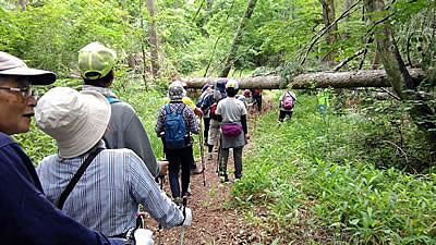 7月6日定例ウォーキング