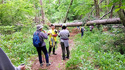 7月6日定例ウォーキング