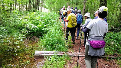 7月6日定例ウォーキング