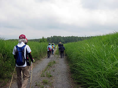 8月3日定例ウォーキング