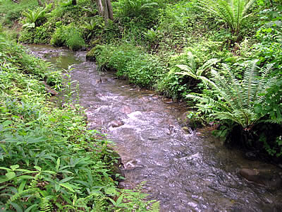 8月3日定例ウォーキング