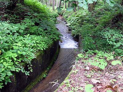8月3日定例ウォーキング