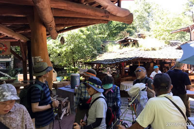 9月7日定例ウォーキング