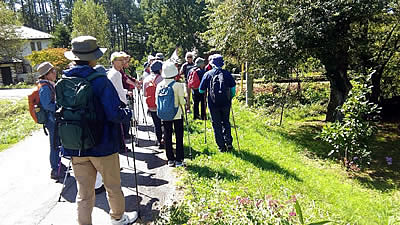 10月5日定例ウォーキング