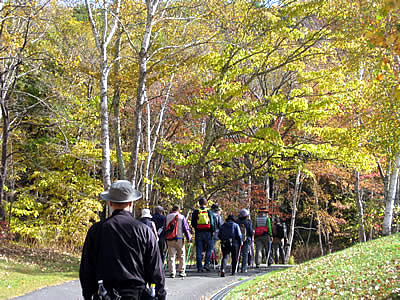 11月2日定例ウォーキング