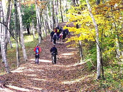 11月2日定例ウォーキング