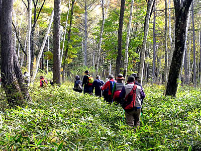 11月2日定例ウォーキング