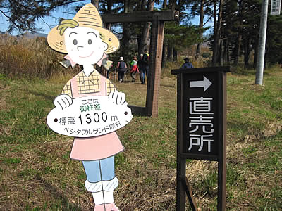 11月2日定例ウォーキング