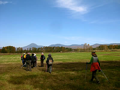 11月2日定例ウォーキング