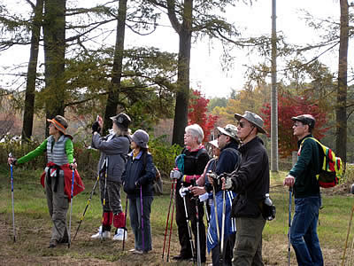 11月2日定例ウォーキング
