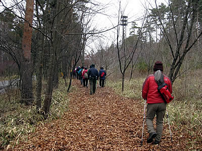 12月7日定例ウォーキング