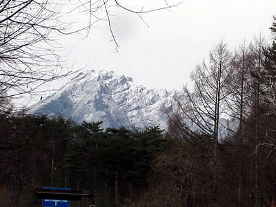 12月7日定例ウォーキング