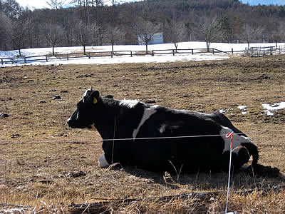 1月4日定例ウォーキング