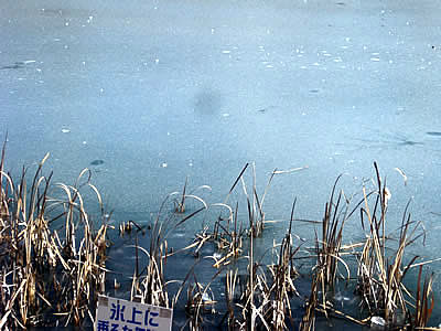 1月4日定例ウォーキング