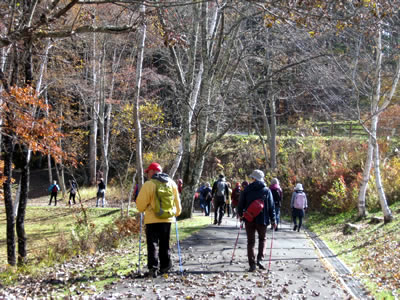 11月6日定例ウォーキング