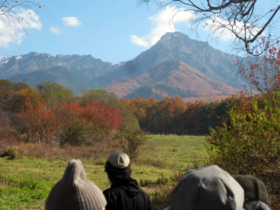 11月6日定例ウォーキング