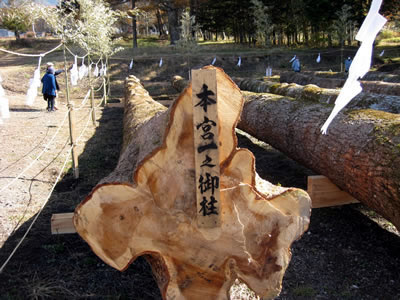 11月6日定例ウォーキング