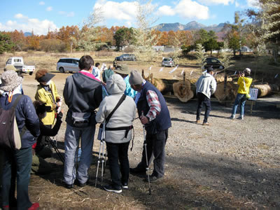11月6日定例ウォーキング