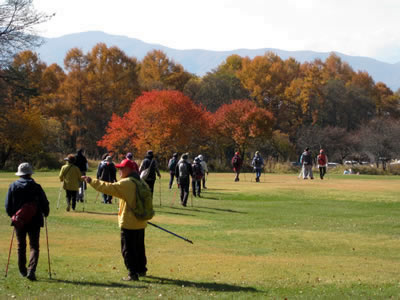 11月6日定例ウォーキング