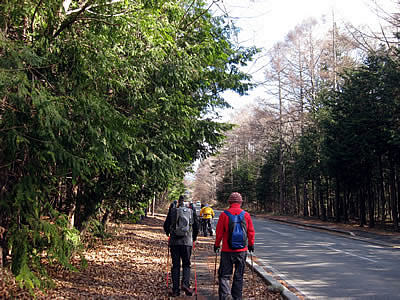 12月4日定例ウォーキング