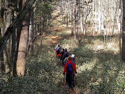 12月4日定例ウォーキング
