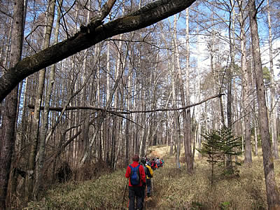 12月4日定例ウォーキング