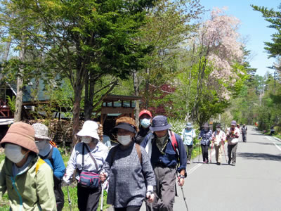 5月7日定例ウォーキング