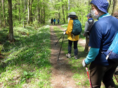 5月7日定例ウォーキング