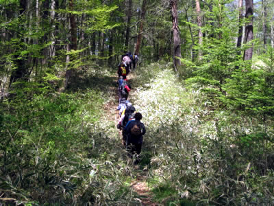 5月7日定例ウォーキング