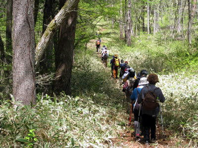 5月7日定例ウォーキング