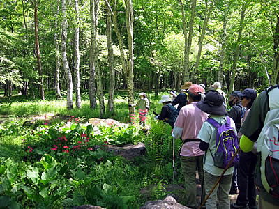 6月4日定例ウォーキング