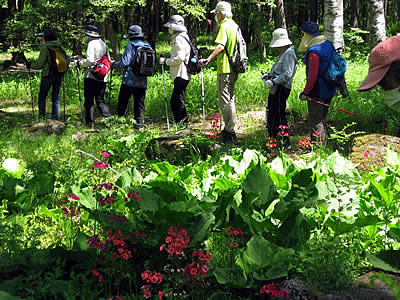 6月4日定例ウォーキング