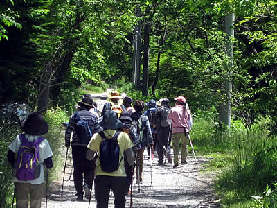 6月4日定例ウォーキング