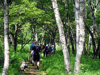 7月2日定例ウォーキング