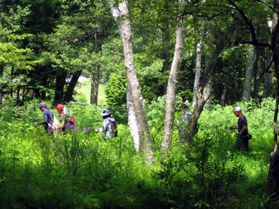 7月2日定例ウォーキング