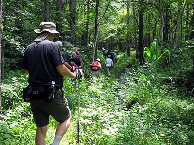 7月2日定例ウォーキング