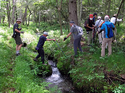7月2日定例ウォーキング