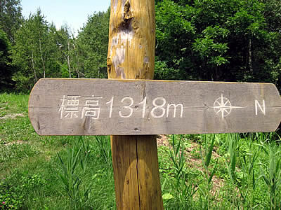 7月2日定例ウォーキング