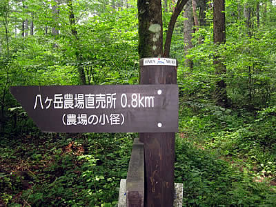 7月2日定例ウォーキング