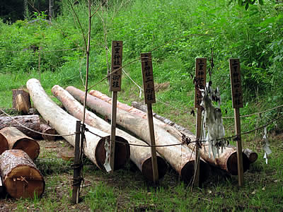 8月6日定例ウォーキング