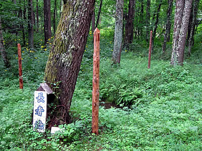 8月6日定例ウォーキング