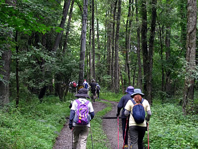 8月6日定例ウォーキング