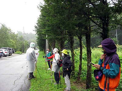 9月3日定例ウォーキング