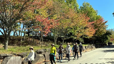 10月8日定例ウォーキング