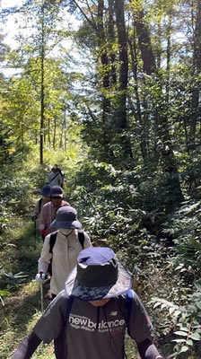 10月8日定例ウォーキング